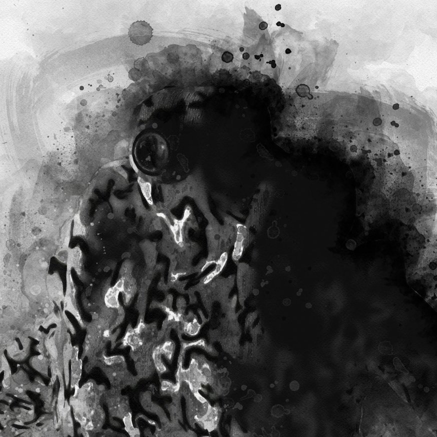 Archive - Illustration-Bots and Droids